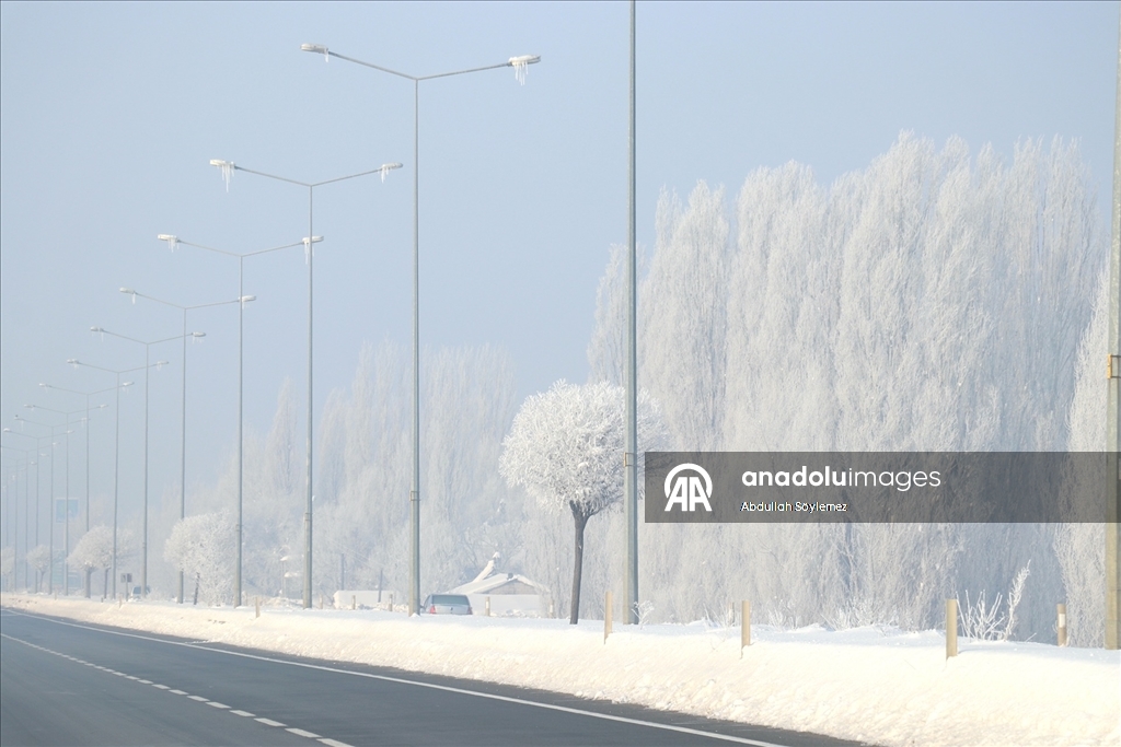 Ağrı'da dondurucu soğuklar etkili oldu