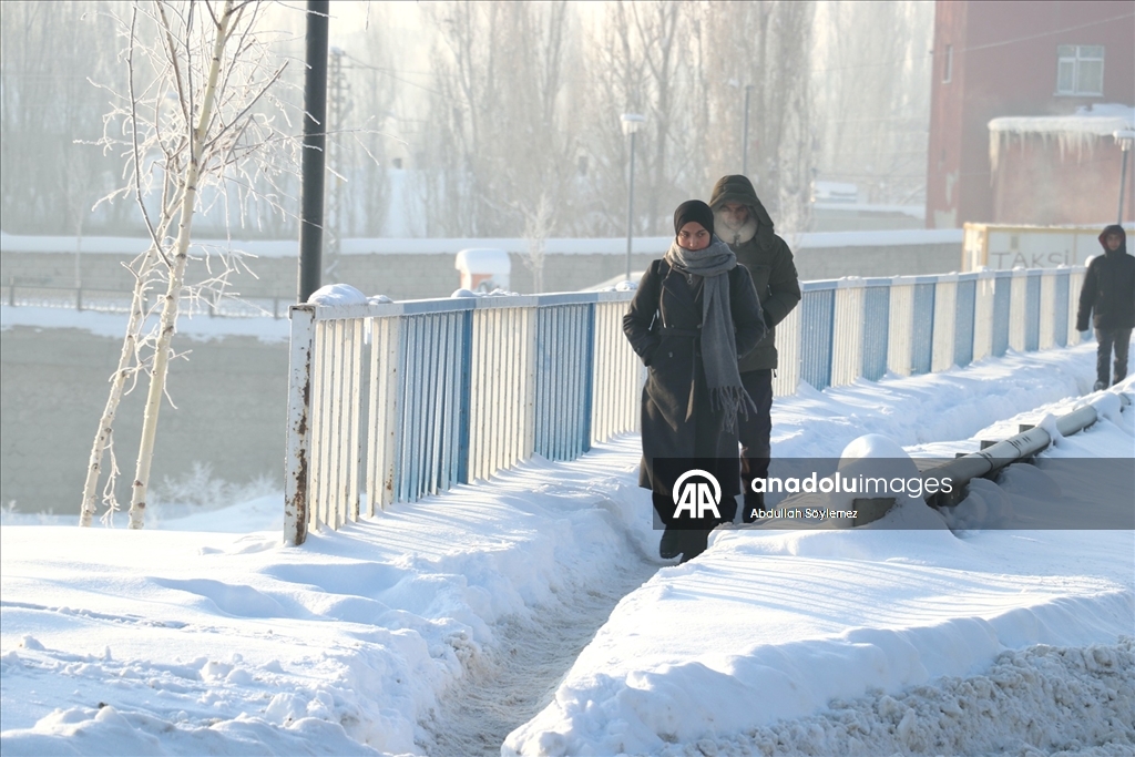 Ağrı'da dondurucu soğuklar etkili oldu