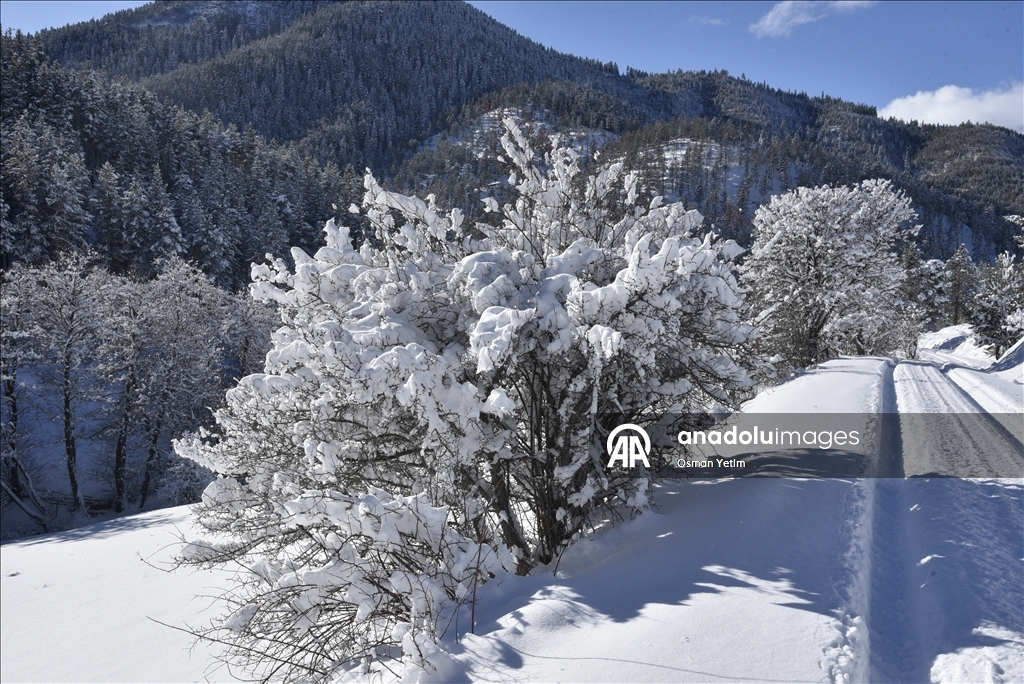 Gümüşhane'nin yüksek kesimlerinde kar etkili oldu