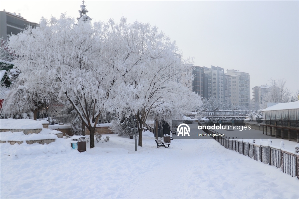 Sivas'ta soğuk hava etkili oluyor