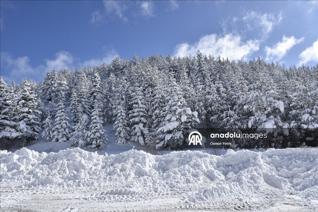 Gümüşhane'nin yüksek kesimlerinde kar etkili oldu