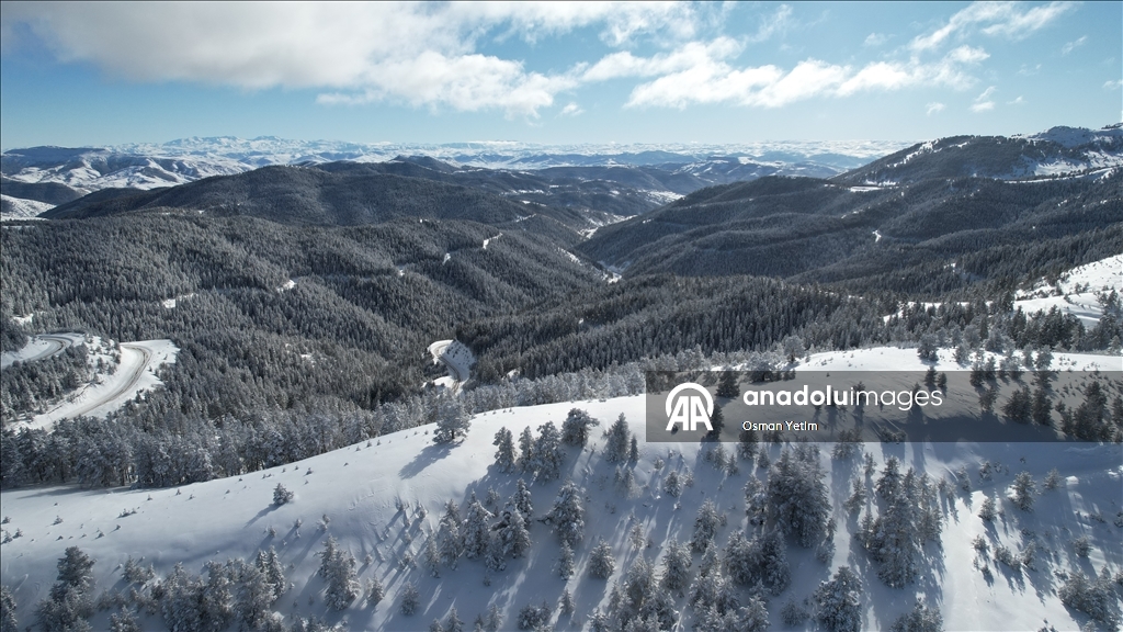 Gümüşhane'nin yüksek kesimlerinde kar etkili oldu