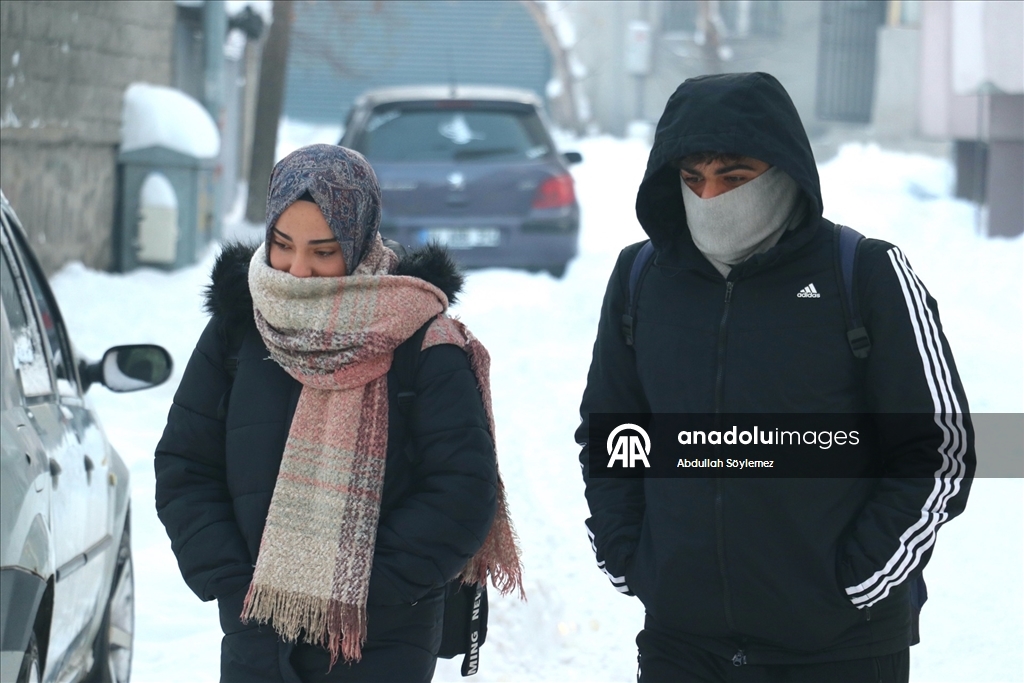 Ağrı'da dondurucu soğuklar etkili oldu