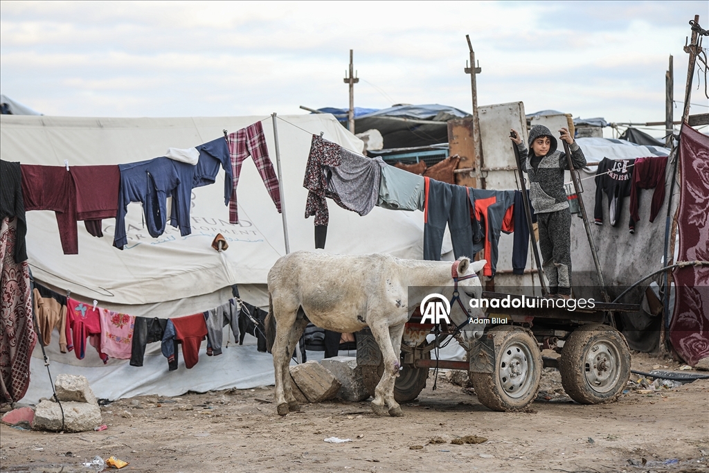 Суровые погодные условия осложняют жизнь перемещенных лиц в Газе