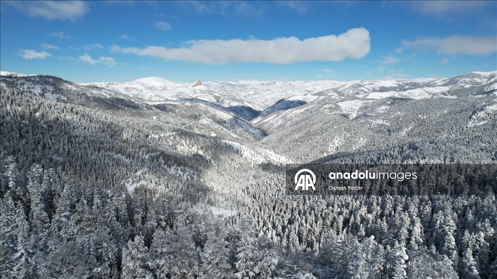 Gümüşhane'nin yüksek kesimlerinde kar etkili oldu