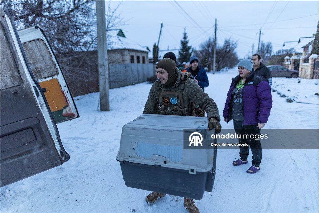 Волонтеры эвакуируют животных в городе Дружковка 