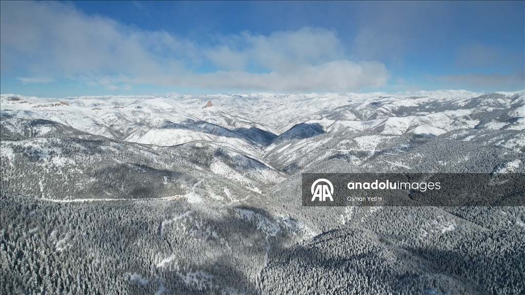 Gümüşhane'nin yüksek kesimlerinde kar etkili oldu