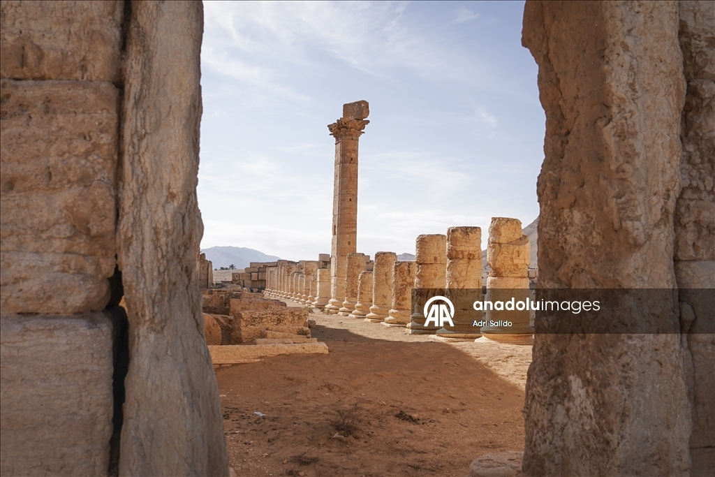 Palmyra Ancient City in Syria’s Homs