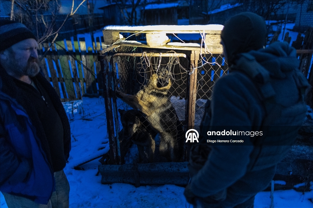 Волонтеры эвакуируют животных в городе Дружковка 