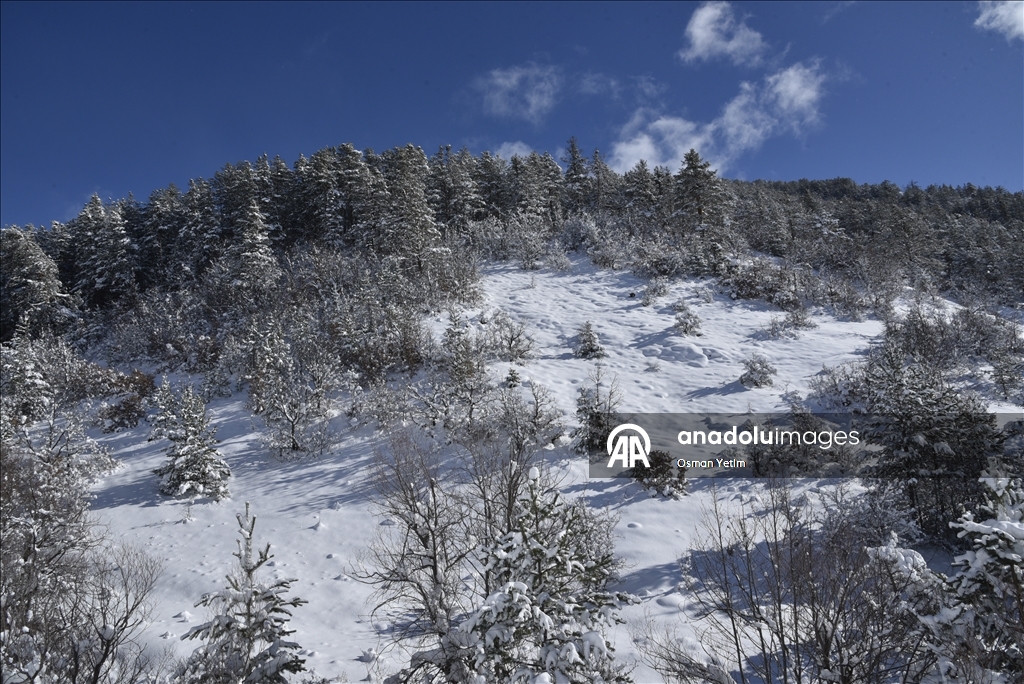 Gümüşhane'nin yüksek kesimlerinde kar etkili oldu
