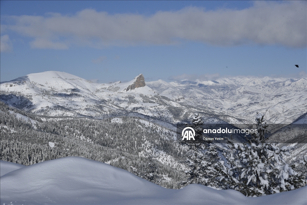 Gümüşhane'nin yüksek kesimlerinde kar etkili oldu