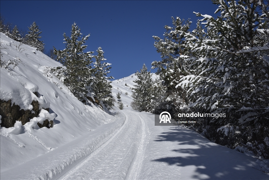 Gümüşhane'nin yüksek kesimlerinde kar etkili oldu