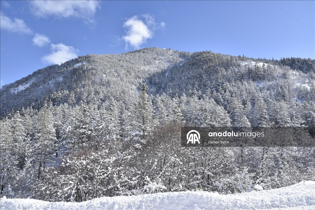 Gümüşhane'nin yüksek kesimlerinde kar etkili oldu