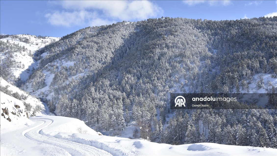 Gümüşhane'nin yüksek kesimlerinde kar etkili oldu