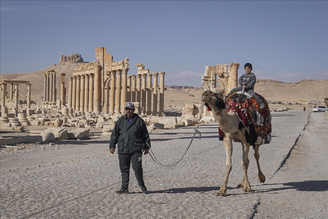 Palmyra Ancient City in Syria’s Homs