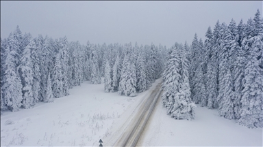 Bolu'da karla kaplı çam ağaçları havadan görüntülendi
