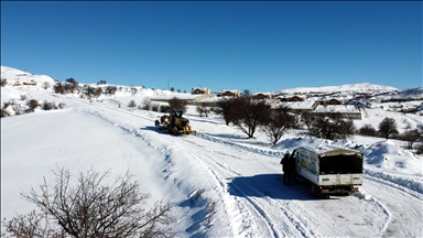 İş makinesi karlı yolları açıyor, ekipler sahipsiz hayvanları besliyor