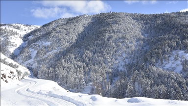 Gümüşhane'nin yüksek kesimlerinde kar etkili oldu