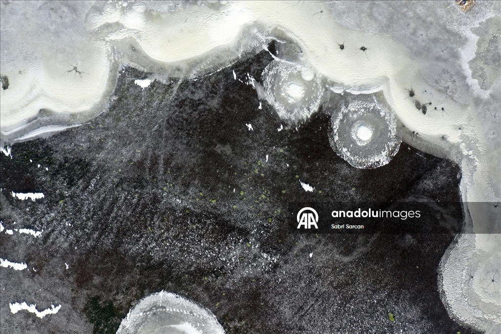 Iğdır'da kuşlara ev sahipliği yapan sulak alanlar dondu