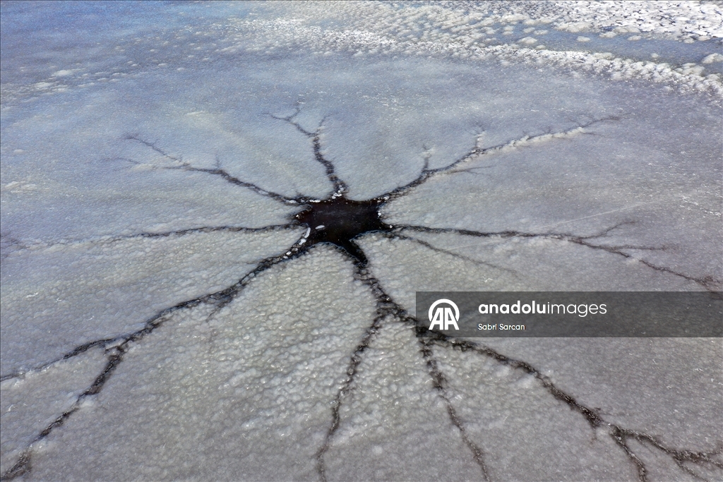 Iğdır'da kuşlara ev sahipliği yapan sulak alanlar dondu