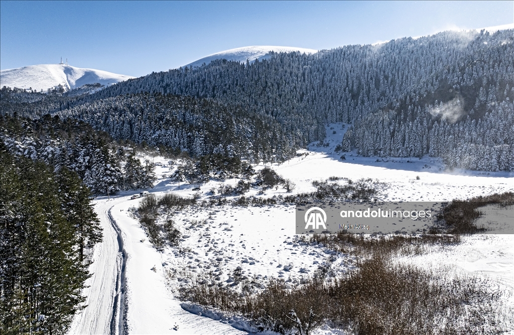 Abant Gölü Milli Parkı