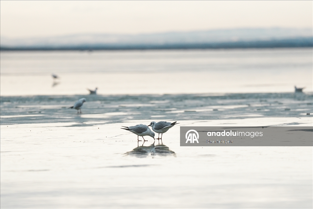 Mogan Gölü, kısmen dondu