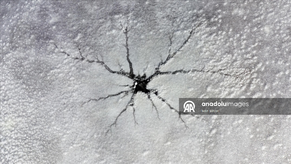 Iğdır'da kuşlara ev sahipliği yapan sulak alanlar dondu