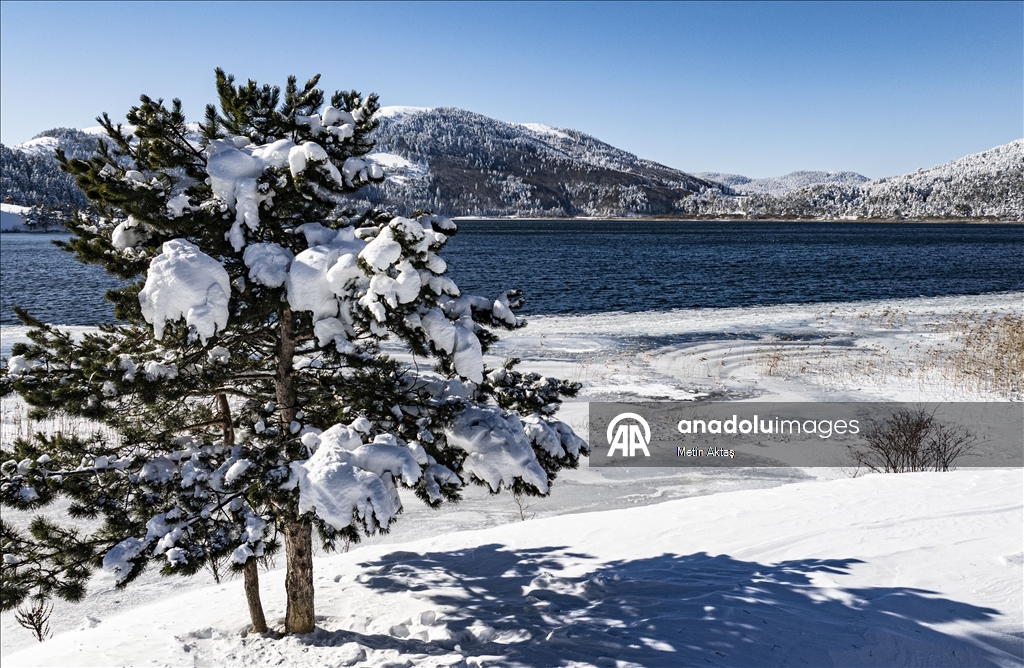 Abant Gölü Milli Parkı