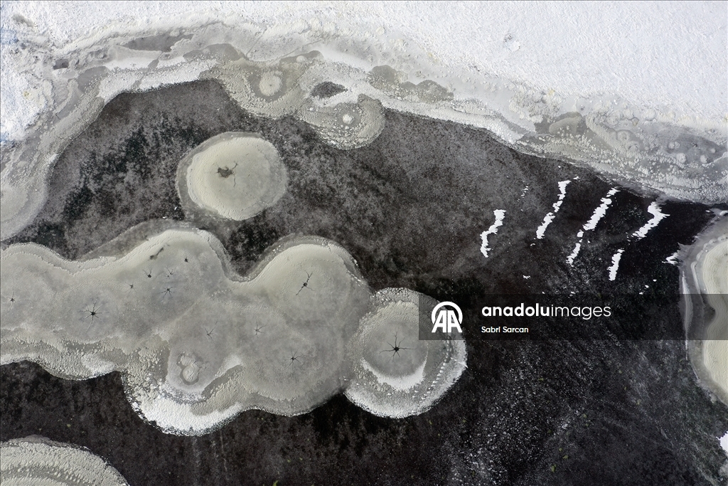 Iğdır'da kuşlara ev sahipliği yapan sulak alanlar dondu