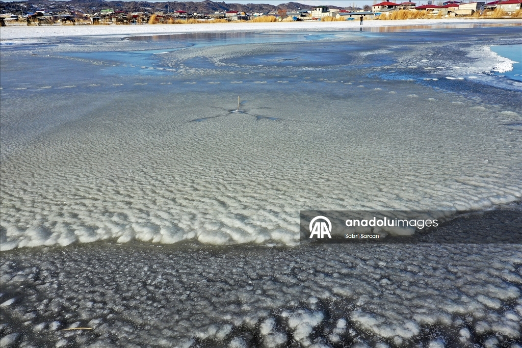 Iğdır'da kuşlara ev sahipliği yapan sulak alanlar dondu