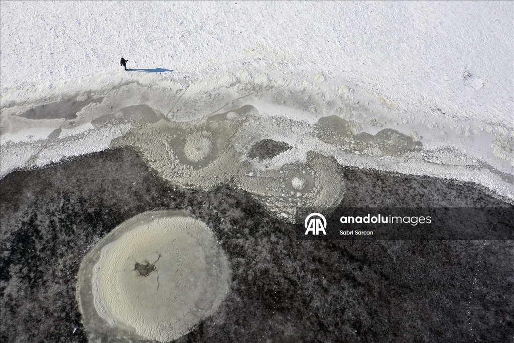 Iğdır'da kuşlara ev sahipliği yapan sulak alanlar dondu
