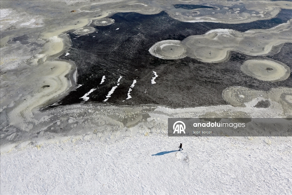 Iğdır'da kuşlara ev sahipliği yapan sulak alanlar dondu