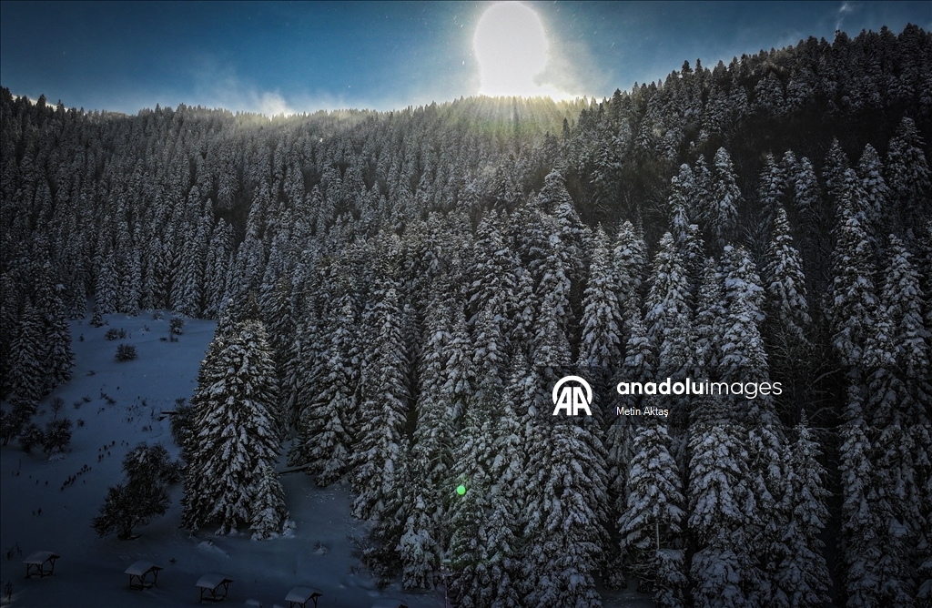 Abant Gölü Milli Parkı