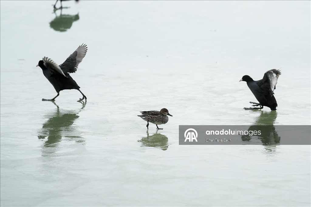 Mogan Gölü, kısmen dondu