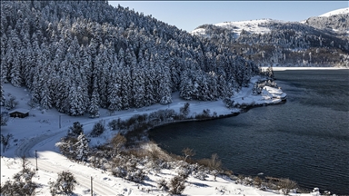 Abant Gölü Milli Parkı