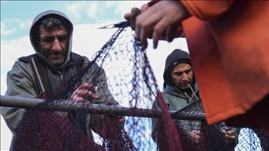 Yarısı tamamlanan av sezonunda hamsi ve sardalya yüz güldürdü