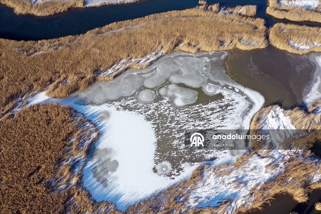 Ağrı Dağı'nın eteklerinde dondurucu soğuklara rağmen 35 kuş türü yaşıyor