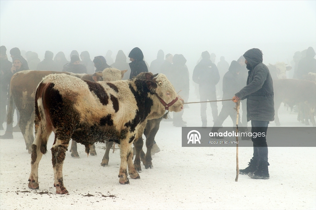 Bazı illerde soğuk hava etkili oldu
