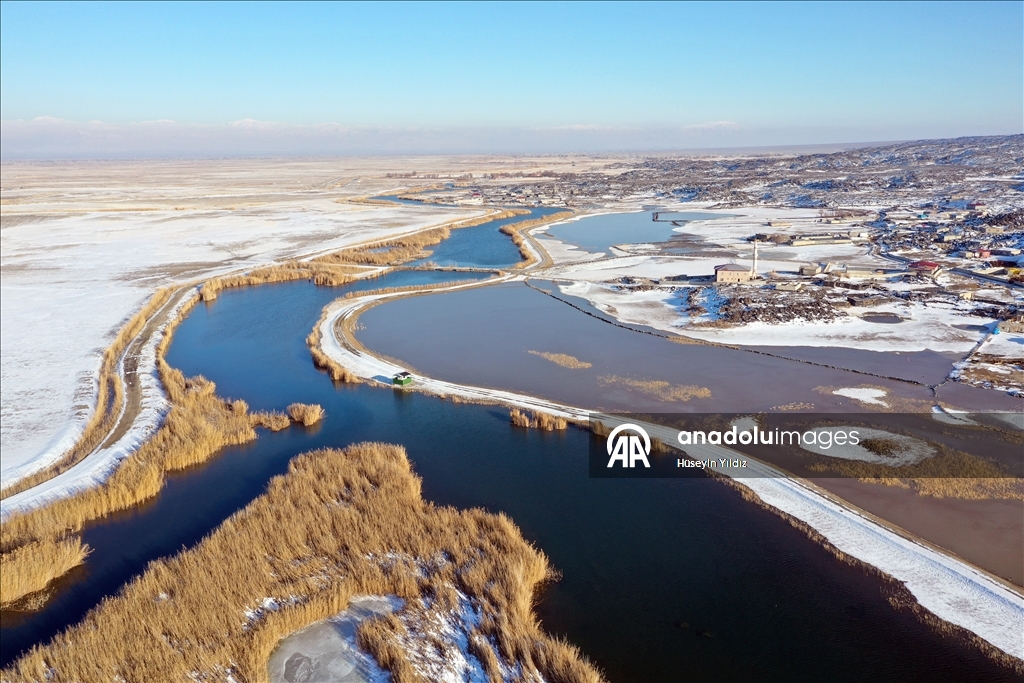 Ağrı Dağı'nın eteklerinde dondurucu soğuklara rağmen 35 kuş türü yaşıyor