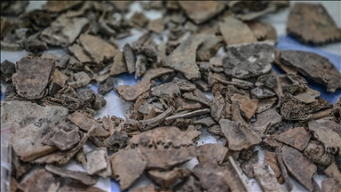 Çayönü Tepesi'nde yaşayan insanların genetik haritası çıkarılıyor