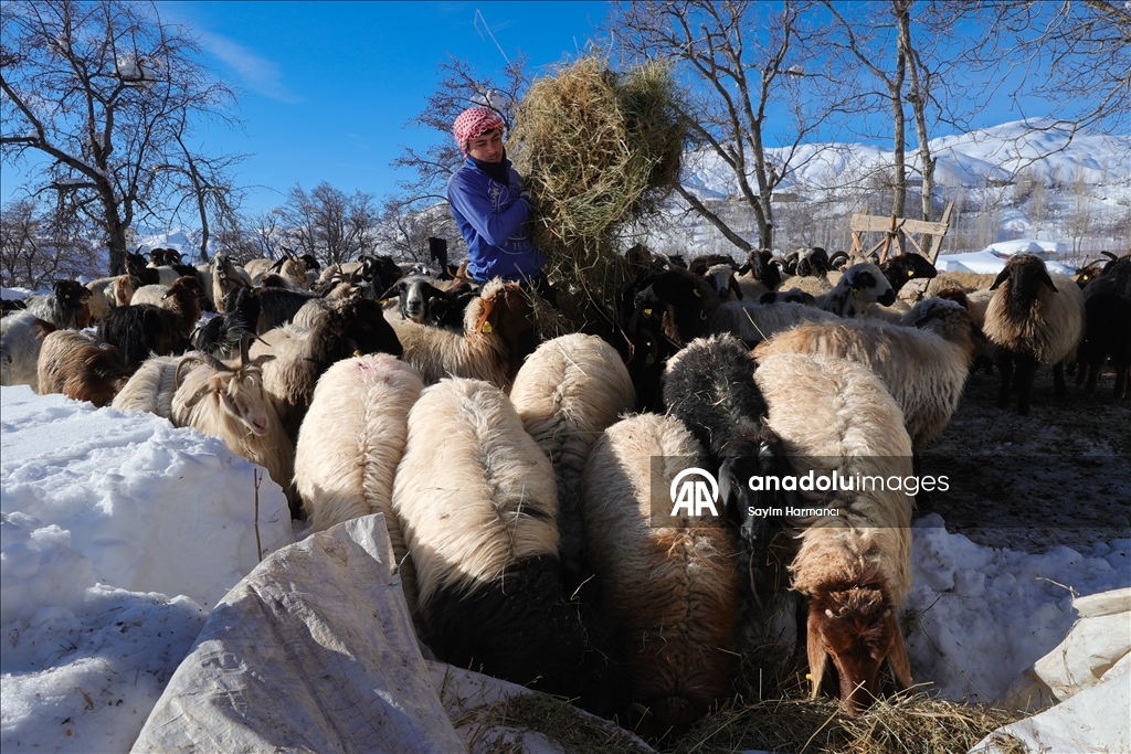 Li Hekariya ku sitûriya berfê lê cî bi cî gihiştiye 2 metroyan, ajeldar zehmetiyan dikişînin