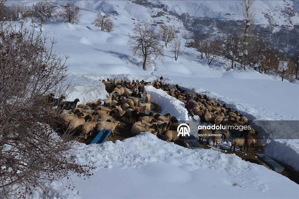 Li Hekariya ku sitûriya berfê lê cî bi cî gihiştiye 2 metroyan, ajeldar zehmetiyan dikişînin
