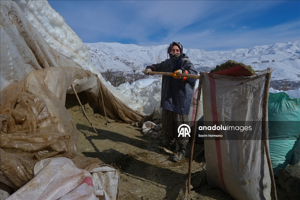 Li Hekariya ku sitûriya berfê lê cî bi cî gihiştiye 2 metroyan, ajeldar zehmetiyan dikişînin