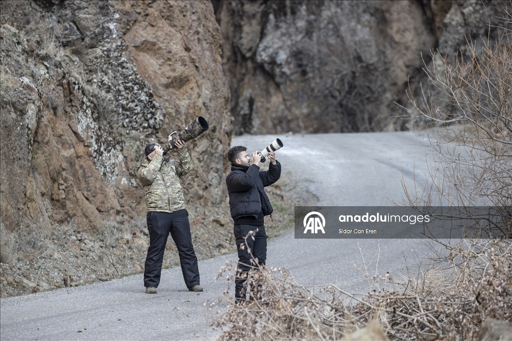 Wênekêş û çêkerên belgefîlman li Tunceliyê li dû şopa bizinkoviyan in