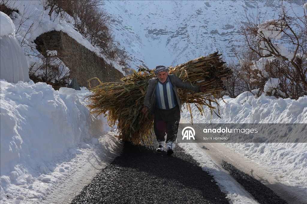 Li Hekariya ku sitûriya berfê lê cî bi cî gihiştiye 2 metroyan, ajeldar zehmetiyan dikişînin