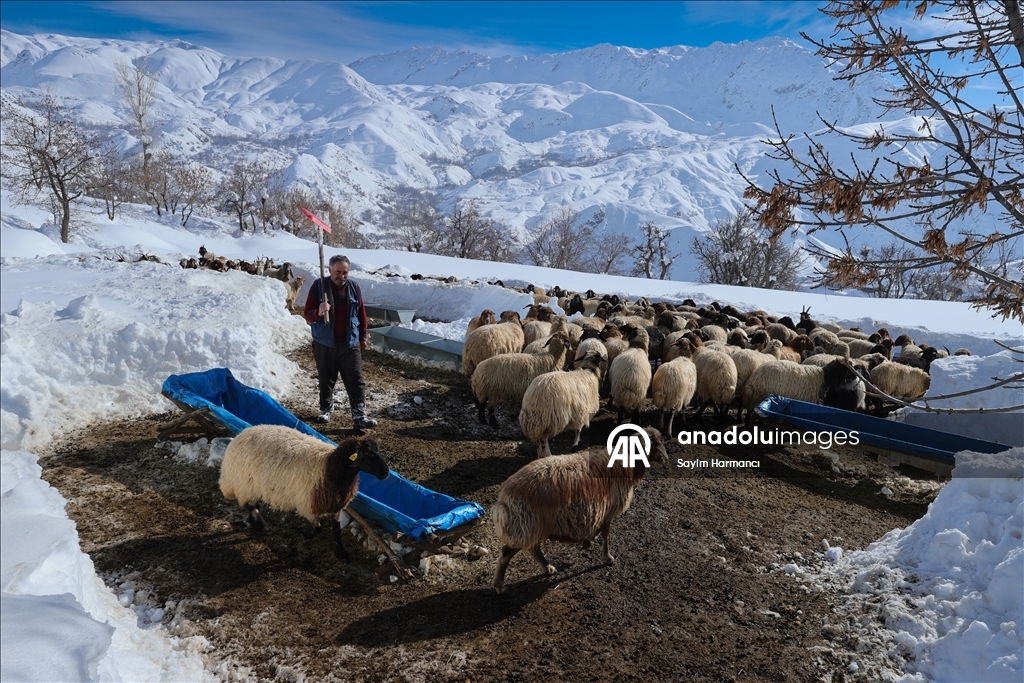 Li Hekariya ku sitûriya berfê lê cî bi cî gihiştiye 2 metroyan, ajeldar zehmetiyan dikişînin