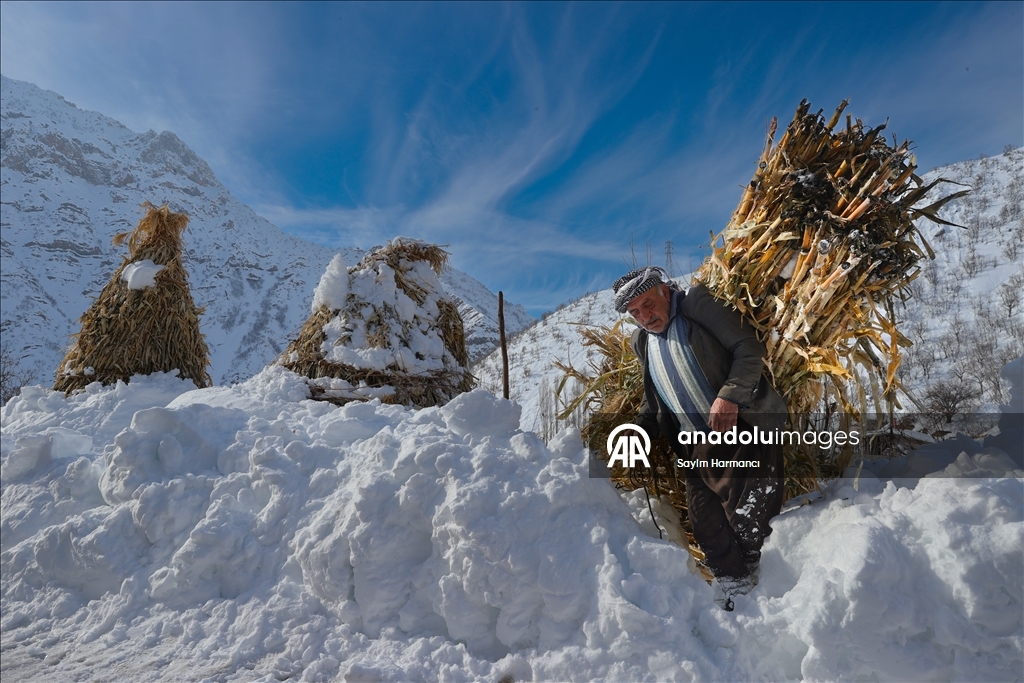 Li Hekariya ku sitûriya berfê lê cî bi cî gihiştiye 2 metroyan, ajeldar zehmetiyan dikişînin