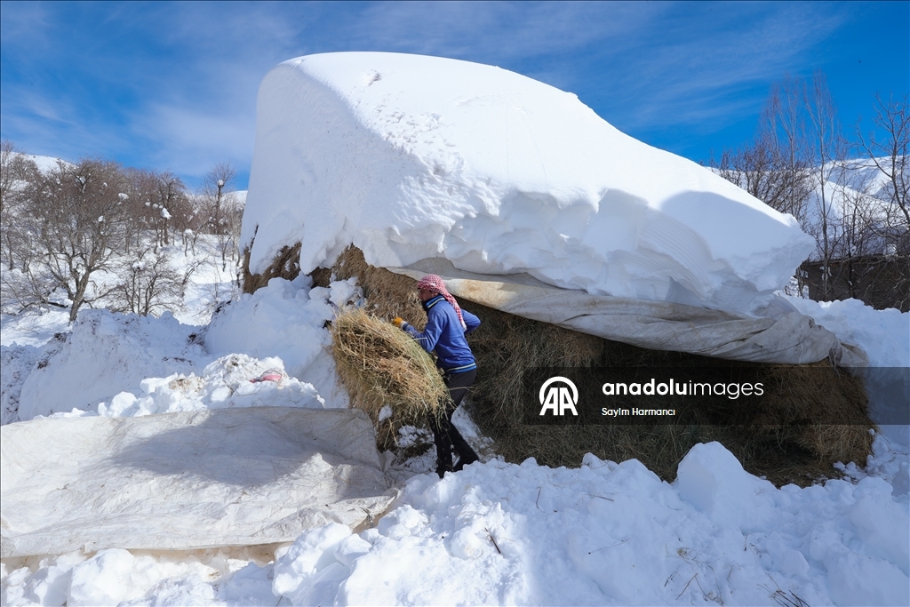 Li Hekariya ku sitûriya berfê lê cî bi cî gihiştiye 2 metroyan, ajeldar zehmetiyan dikişînin
