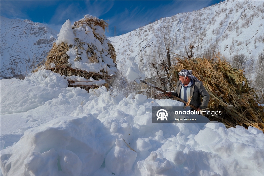 Li Hekariya ku sitûriya berfê lê cî bi cî gihiştiye 2 metroyan, ajeldar zehmetiyan dikişînin