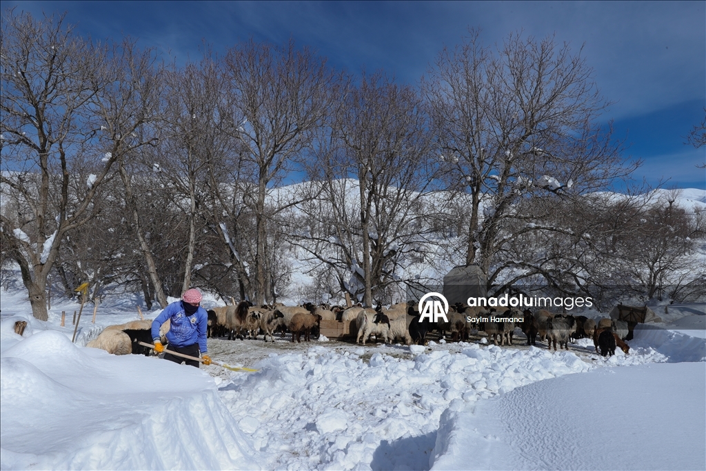 Li Hekariya ku sitûriya berfê lê cî bi cî gihiştiye 2 metroyan, ajeldar zehmetiyan dikişînin